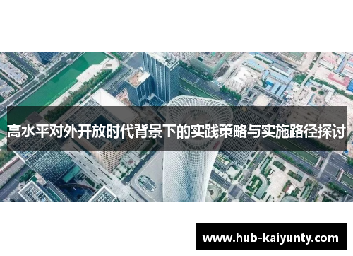 高水平对外开放时代背景下的实践策略与实施路径探讨 高水平对外开放时代背景下的实践策略与实施路径探讨
