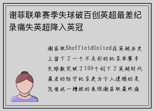 谢菲联单赛季失球破百创英超最差纪录痛失英超降入英冠 谢菲联单赛季失球破百创英超最差纪录痛失英超降入英冠
